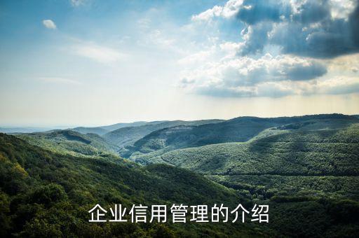 企业信用管理的介绍