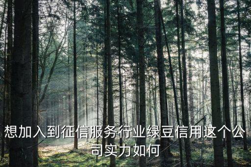 想加入到征信服务行业绿豆信用这个公司实力如何