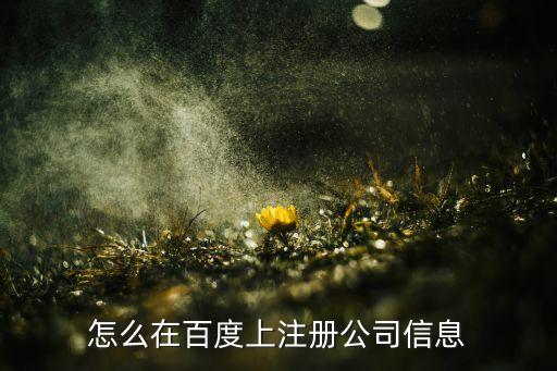 怎么在百度上注册公司信息