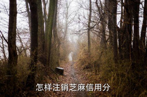 芝麻分企业信用分怎么关闭，芝麻企业信用怎么关闭