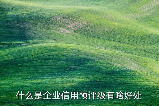 什么是企业信用预评级有啥好处