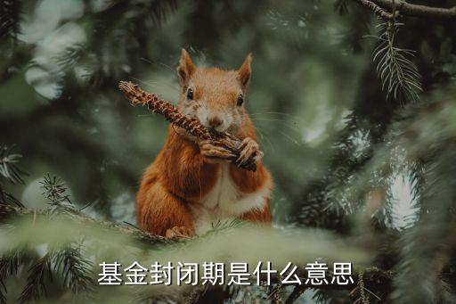 基金封闭期是什么意思