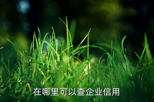 在哪里可以查企业信用