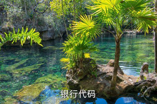 银行代码