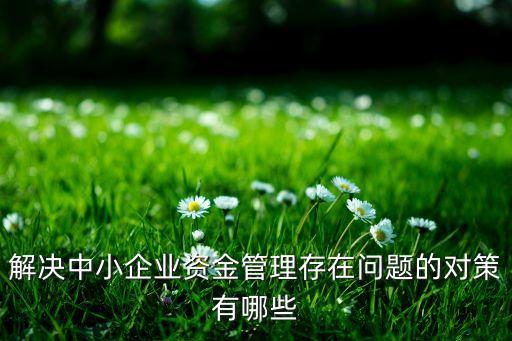 解决中小企业资金管理存在问题的对策有哪些