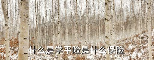 什么是学平险是什么保险
