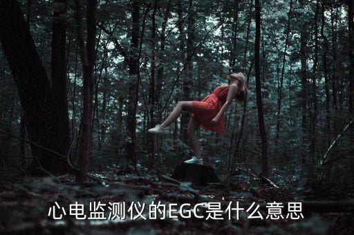 心电监测仪的EGC是什么意思