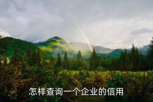 怎样查询一个企业的信用