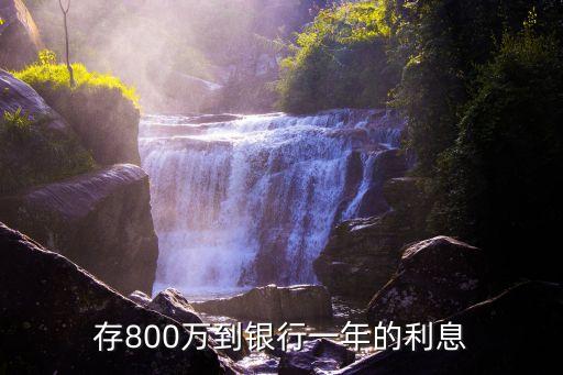 存800万到银行一年的利息