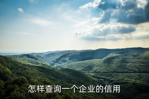 怎样查询一个企业的信用