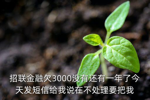 招联金融欠3000没有还有一年了今天发短信给我说在不处理要把我