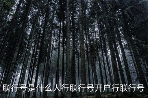 银行联行号是什么，什么是开户银行联行号