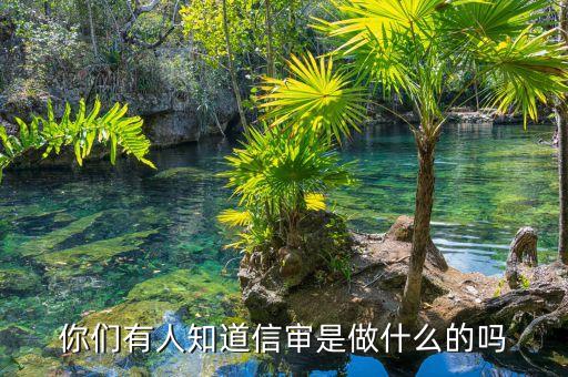 信审，信审系统可实现的两大最重要的功能是甚么