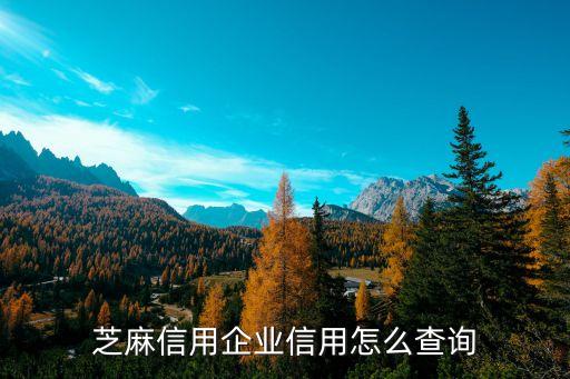 企业信用综合评分怎么查询，怎样查询一个企业的信用