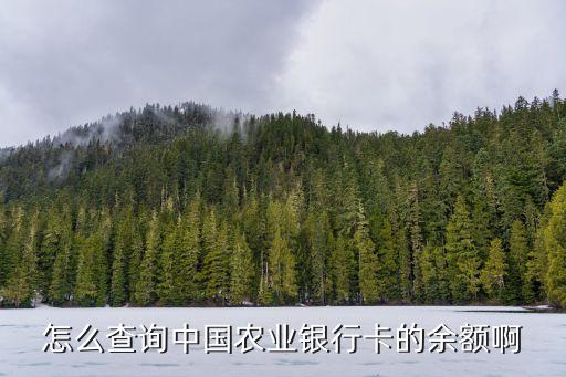 怎么查询中国农业银行卡的余额啊