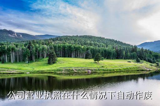 公司营业执照在什么情况下自动作废