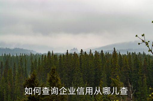 如何查询企业信用从哪儿查