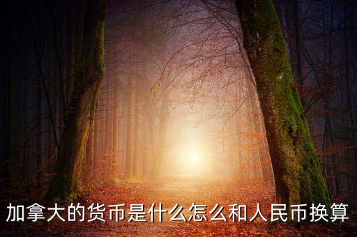 加拿大的货币是什么怎么和人民币换算