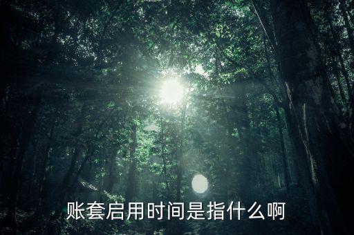 账套启用时间是指什么啊