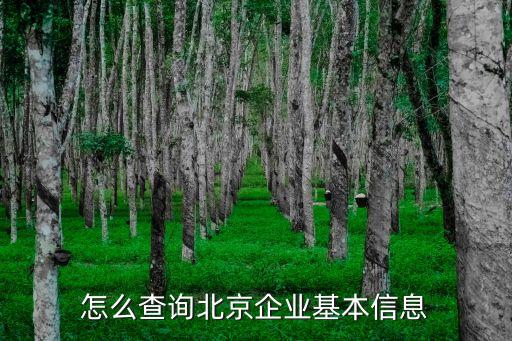 北京企业信用怎么查，怎样查询一个企业的信用