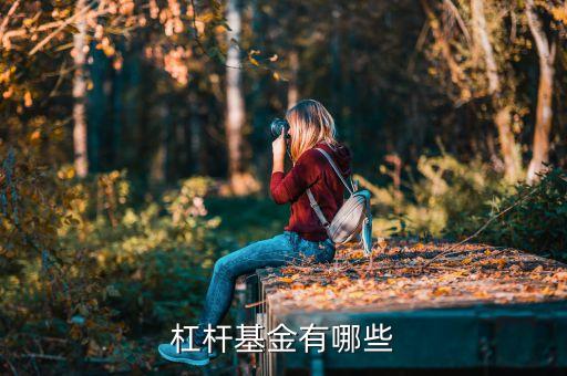 杠杆基金有哪些