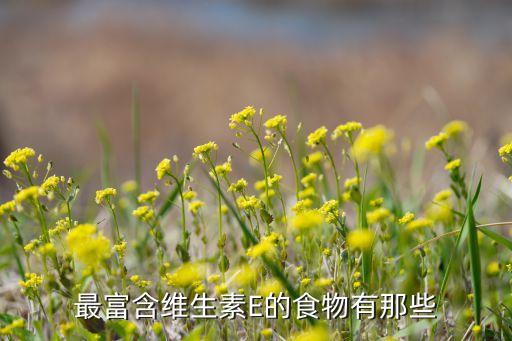 最富含维生素E的食物有那些