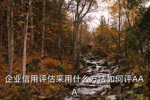 3a企业信用评级怎么评，美国3A 信用评价