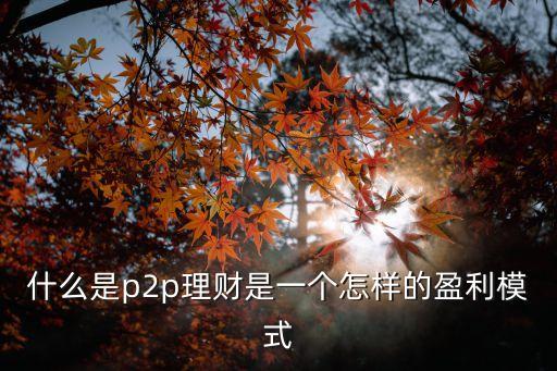 什么是p2p理财是一个怎样的盈利模式