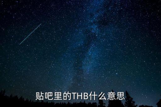 贴吧里的THB什么意思
