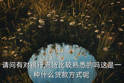 请问有对银行流贷比较熟悉的吗这是一种什么贷款方式呢