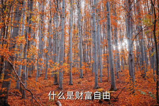 自由财富，什么是财富自由