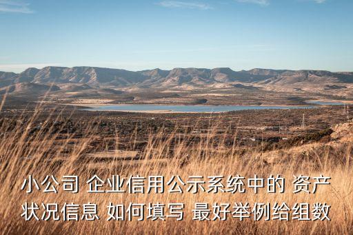 小公司 企业信用公示系统中的 资产状况信息 如何填写 最好举例给组数