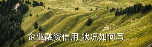 企业信用维持状况怎么写，求如何写企业信用简况