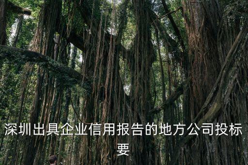 深圳企业信用报告在哪里，在深圳怎么查信用报告