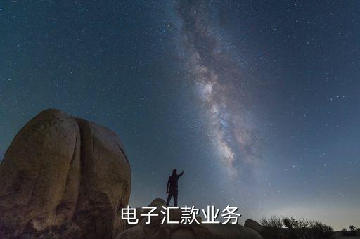 电子汇款，电子汇款业务