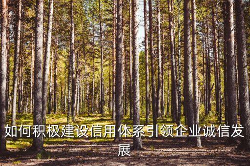 如何积极建设信用体系引领企业诚信发展