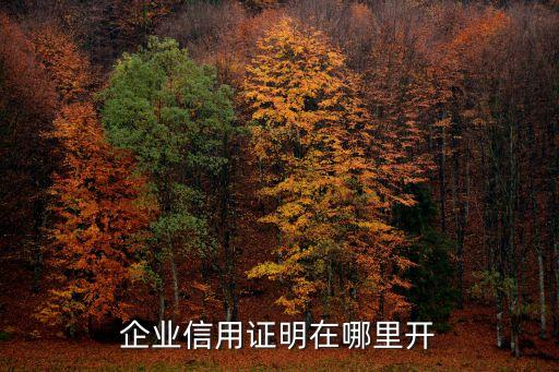 企业信用证明在哪里开