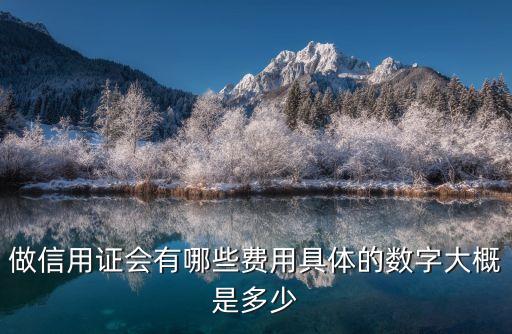 做信用证会有哪些费用具体的数字大概是多少