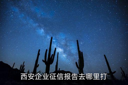 西安企业征信报告去哪里打
