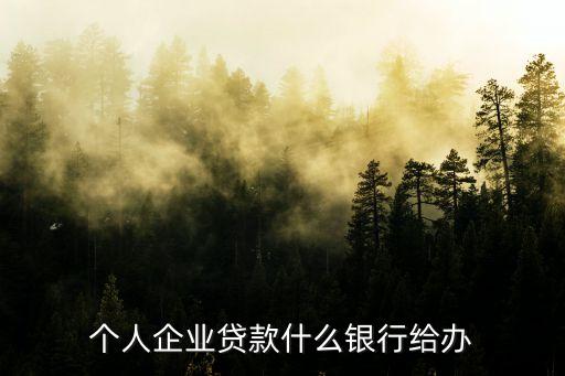 个人企业贷款什么银行给办