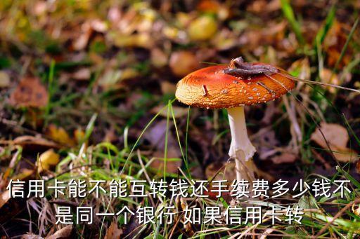 信用卡能不能互转钱还手续费多少钱不是同一个银行 如果信用卡转