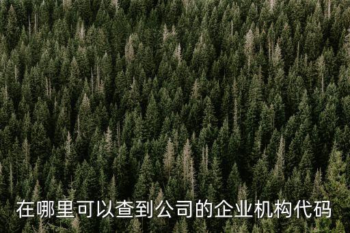 在哪里可以查到公司的企业机构代码