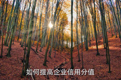 如何提高企业信用分值