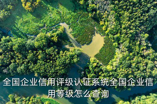 全国企业信用评级认证系统全国企业信用等级怎么查询