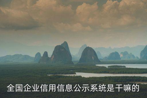全国企业信用信息公示系统是干嘛的