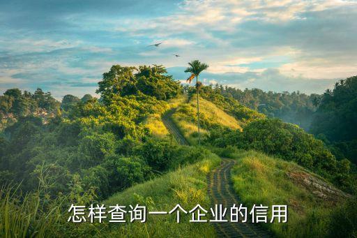 怎样查询一个企业的信用