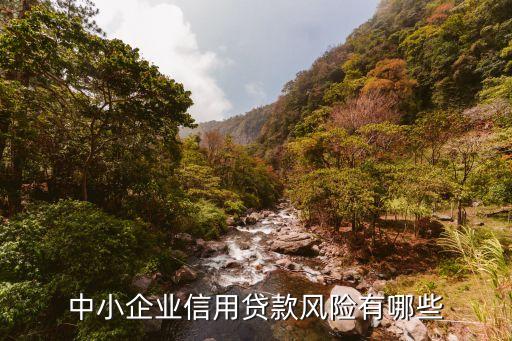 中小企业信用贷款风险有哪些