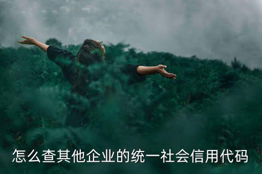怎么查其他企业的统一社会信用代码