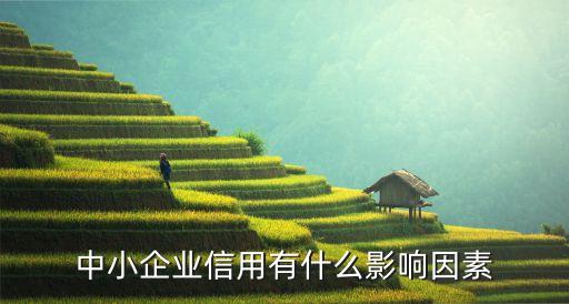 中小企业信用有什么影响因素