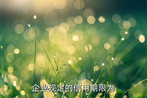 企业规定的信用期限为